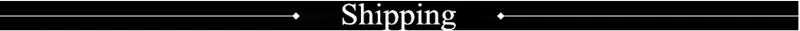 Fashion Chiffon Skirts Womens Elegant Casual High Waist Boho Long Dance Skirt Female Party Beach Maxi A-Line pleated Skirt