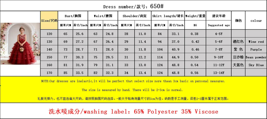 Girls Princess Dress Sleeveless Lace Embroidery Tiered Tulle Bow Formal Evening Gown for Wedding Birthday Party Christmas