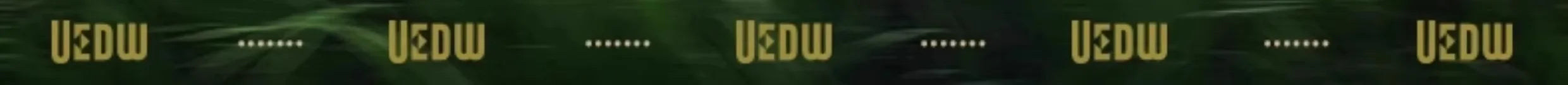 Suitcase Carry On Luggage Holder Hard Shell Rolling Travel Suitcase with Spinner Wheels 20 24 26 28 30 Inch Luggage