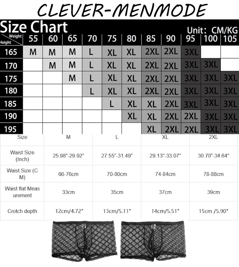 Men's Sexy Transparent Lace Panties Fishnet Sheer Boxer Shorts Breathable Low Rise Lingerie Exotic Costume Mesh Outfit