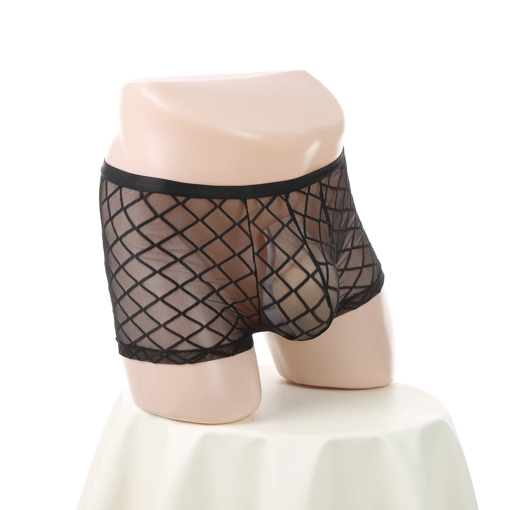 Men's Sexy Transparent Lace Panties Fishnet Sheer Boxer Shorts Breathable Low Rise Lingerie Exotic Costume Mesh Outfit