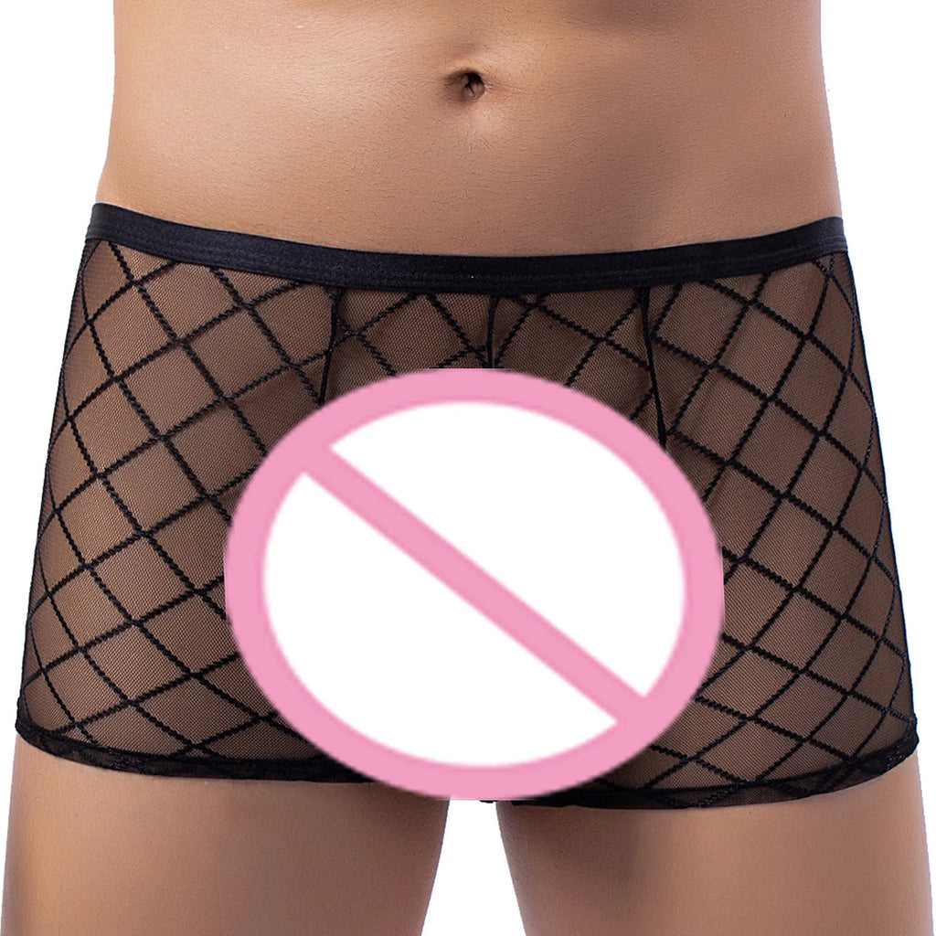 Men's Sexy Transparent Lace Panties Fishnet Sheer Boxer Shorts Breathable Low Rise Lingerie Exotic Costume Mesh Outfit