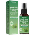 Whole Body Deodorizing Spray Refreshing Mint 72H Odor Control Aluminum-Free for Armpit & Body with Collagen HA 30g
